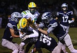 THE FRONT ROW with MARK NELKE: Local high school football schedules, with COVID-19 — and elk — in mind