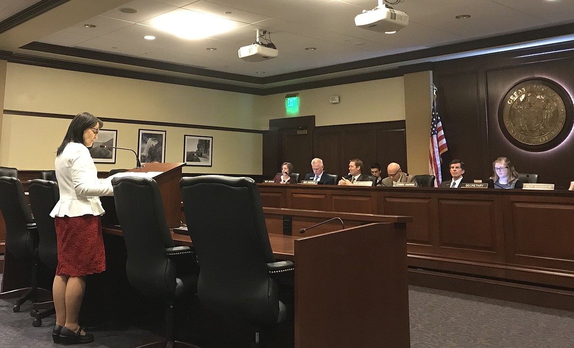 Rep. Christy Zito testifies Wednesday before the House State Affairs committee in favor of exempting Idaho from daylight saving time . 
 (RILEY HAUN/Intern with the University of Idaho McClure Center for Public Policy Research)