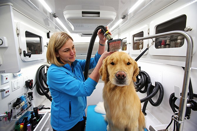 Mobile Spaw owner Stacia Reeser blow dries Cache inside her mobile pet grooming salon.