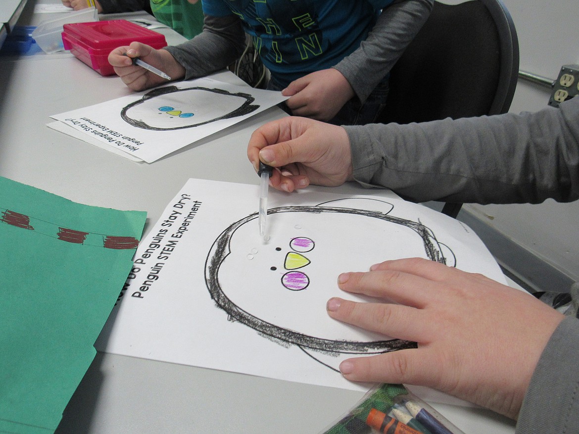 (Courtesy photo) 
 Idaho Hill Elementary first graders conduct an experiment on animal cold adaptation at a recent STEaM event at the school. The students used shortening as blubber and cotton balls as insulators as they conducted an experiment on how penguins keep warm in the cold.