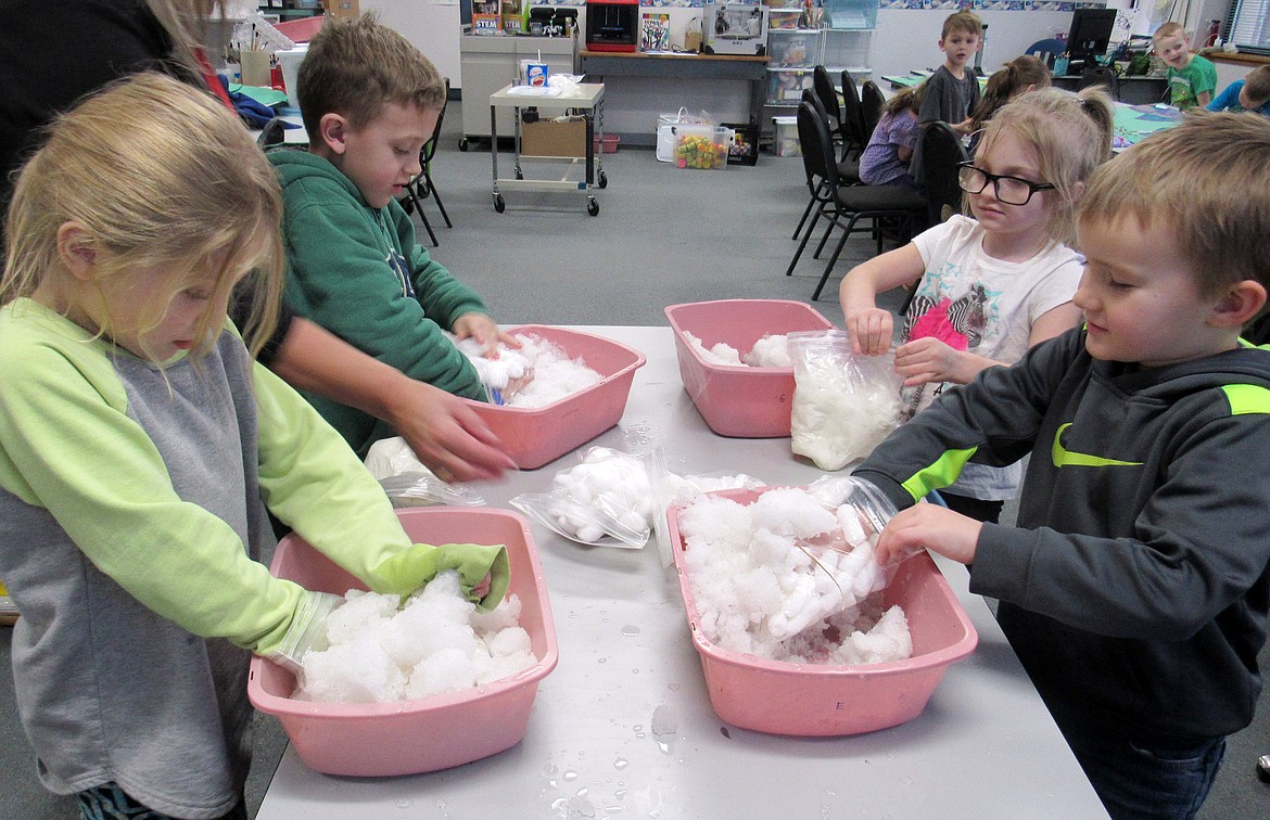 Idaho Hill Elementary first graders conduct an experiment on animal cold adaptation at a recent STEaM event at the school. The students used shortening as blubber and cotton balls as insulators as they conducted an experiment on how penguins keep warm in the cold.