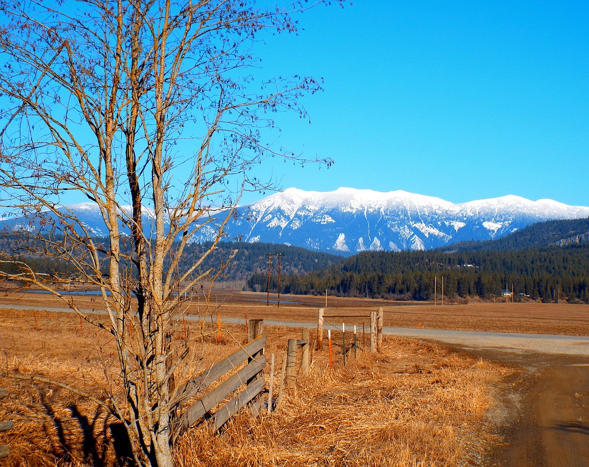 Robert Kalberg took this photo from Turkey Hollow Road on Feb. 19. He described it as an absolutely beautiful winter day, which allows the beauty of our surrounding mountains to shine.