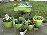 ELAINE CERNY: MY GARDEN PATH — It’s here… the first day of spring!