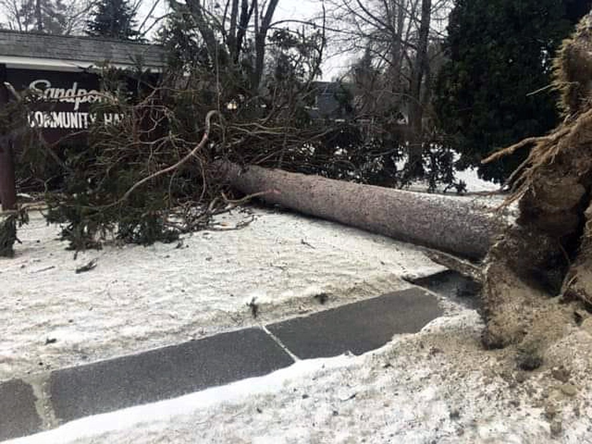 (Photo courtesy CITY OF SANDPOINT) 
 A tree lays on the ground in front of Sandpoint Community Hall after being blown down during the massive windstorm that hit the area Friday evening through Saturday afternoon.