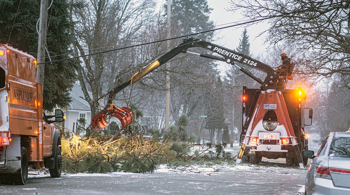 Crews work to clean up the debris from a tree in the city of Sandpoint that was knocked down by a massive windstorm which struck the region.