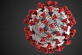 Daily coronavirus briefing sign up