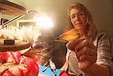 All in the fishing family