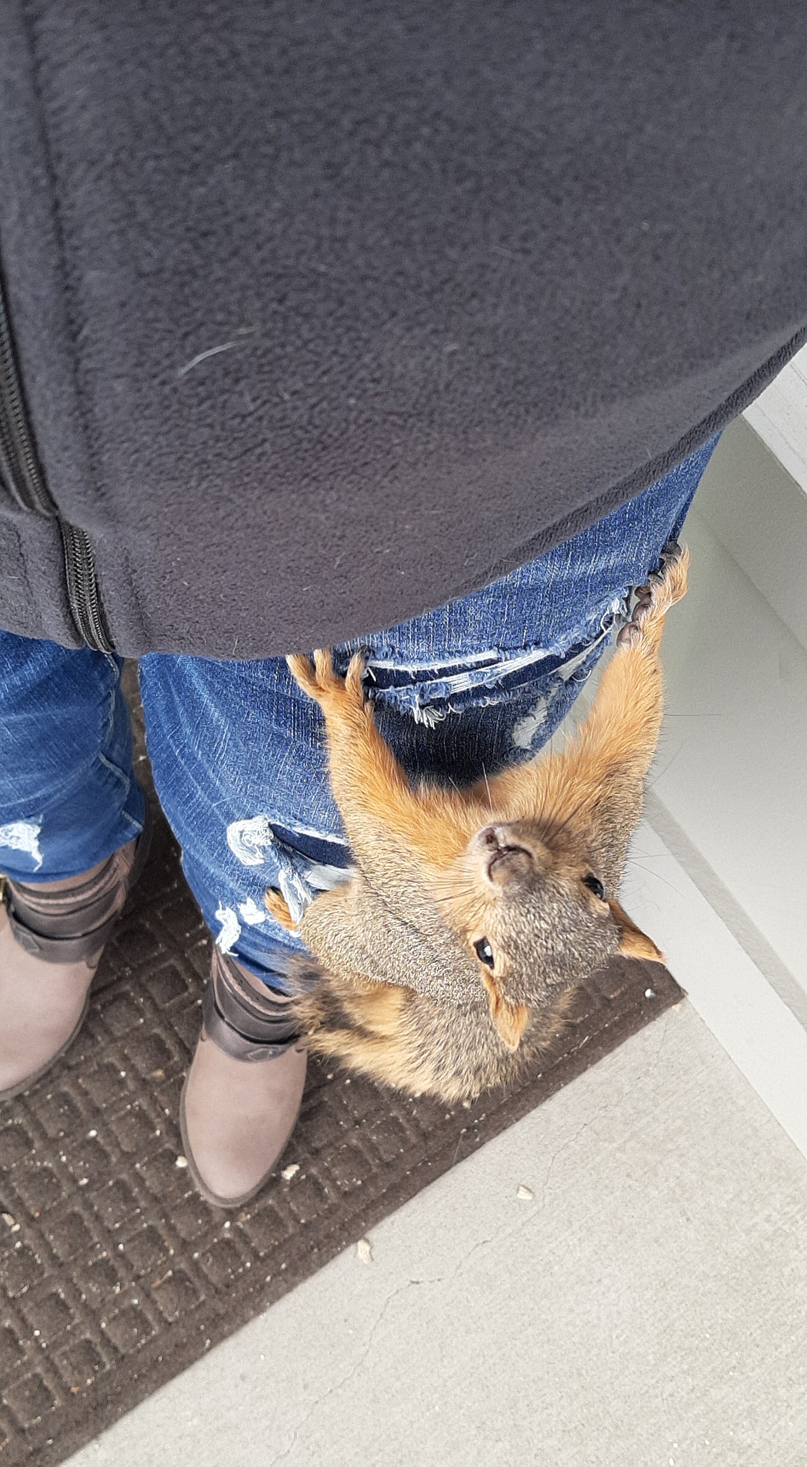 “I took this picture of Trixy climbing up my leg to get a peanut,” Misty Courtney of Sandpoint writes in sharing this Best Shot in early March. “We look forward to seeing her each day at the office. She’s absolutely adorable!” If you have an photo that you took that you would like to see run as a Best Shot or I Took The Bee send it in to the Bonner County Daily Bee, P.O. Box 159, Sandpoint, Idaho, 83864; or drop them off at 310 Church St., Sandpoint. You may also email your pictures in to the Bonner County Daily Bee to bcdailybee@bonnercountydailybee.com.