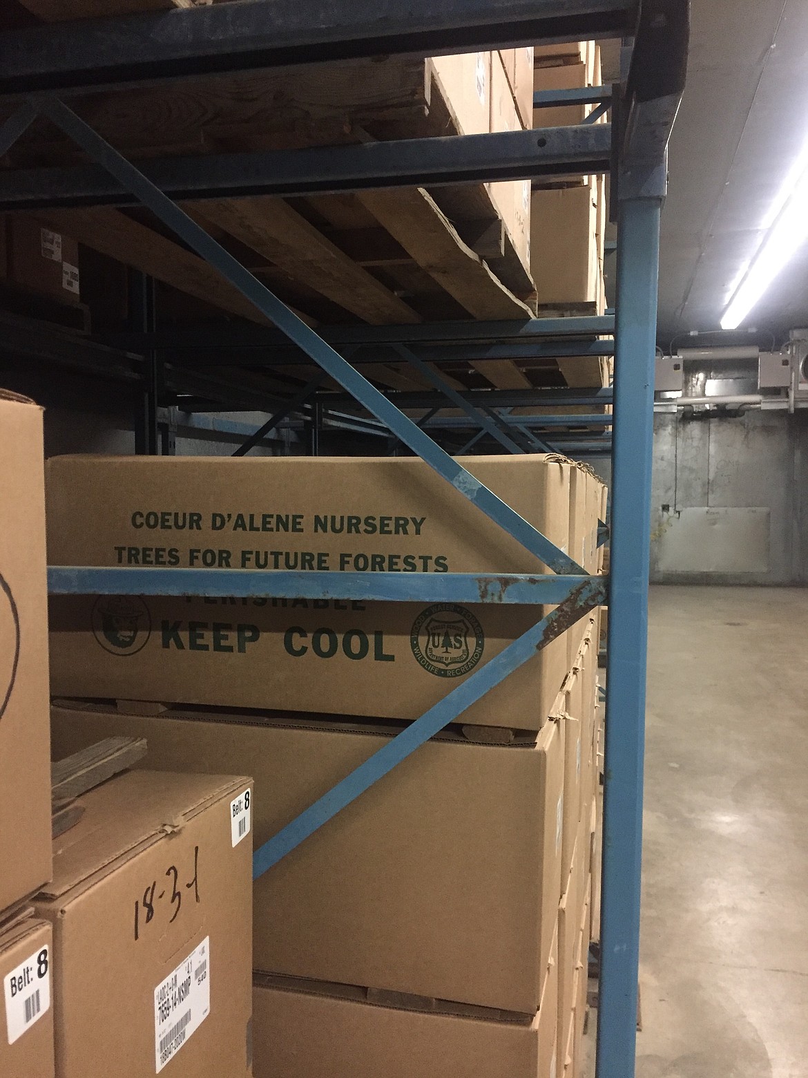 The refrigerators at the Idaho Panhandle National Forests Coeur d’Alene nursery store seedlings before they are transported to districts for planting. In the case of an emergency, the president of the United States could order these coolers to be used as an overflow morgue. (JENNIFER/PASSARO Press)