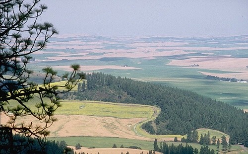 The 5,300-acre Mary M. McCroskey Memorial Park,  57 miles south of Coeur d’Alene, and is accessed by the 18-mile unimproved Skyline Drive that bisects the park and provides access to 32 miles of multi-use trails and views of the Palouse. 
  
 Courtesy photo