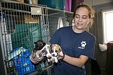 Grant County Animal Outreach still busy