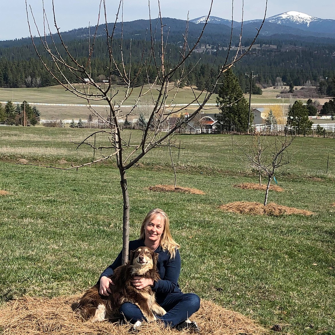 Opal and Buck rest by the apple tree she planted five years ago, mulched with cardboard, bark and pine needles.