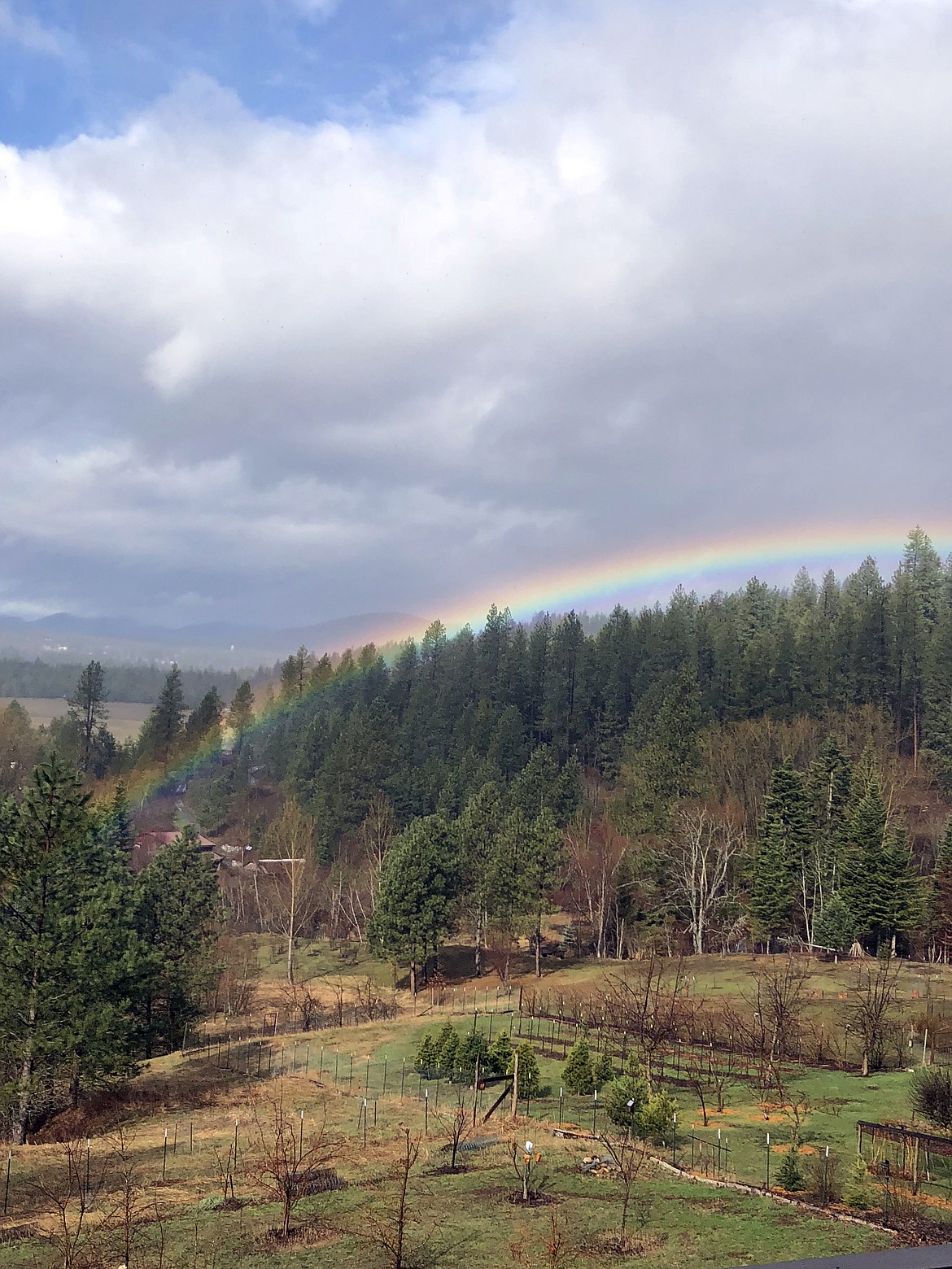 Carol Shirk Knapp captured this Best Shot of a recent rainbow in the Priest River area. If you have an photo that you took that you would like to see run as a Best Shot or I Took The Bee send it in to the Bonner County Daily Bee, P.O. Box 159, Sandpoint, Idaho, 83864; or drop them off at 310 Church St., Sandpoint. You may also email your pictures in to the Bonner County Daily Bee along with your name, caption information, hometown and phone number to bcdailybee@bonnercountydailybee.com.