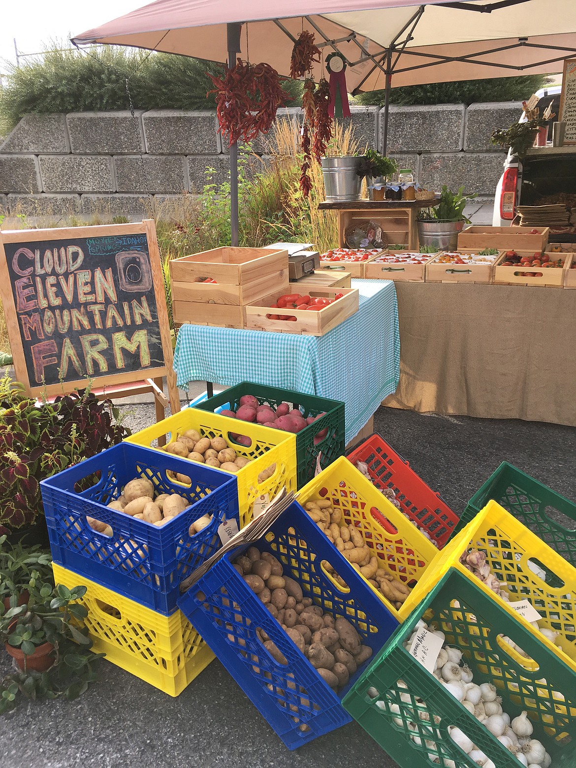 The Cloud Eleven Mountain Farm LLC booth will be available again this year at the Bonners Ferry Farmers Market, with some changes in how business is exchanged due to social distancing recommendations.