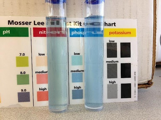 A soil test kit can help you determine that levels of phosphorus, nitrogen, potassium and pH of the soil on your property.