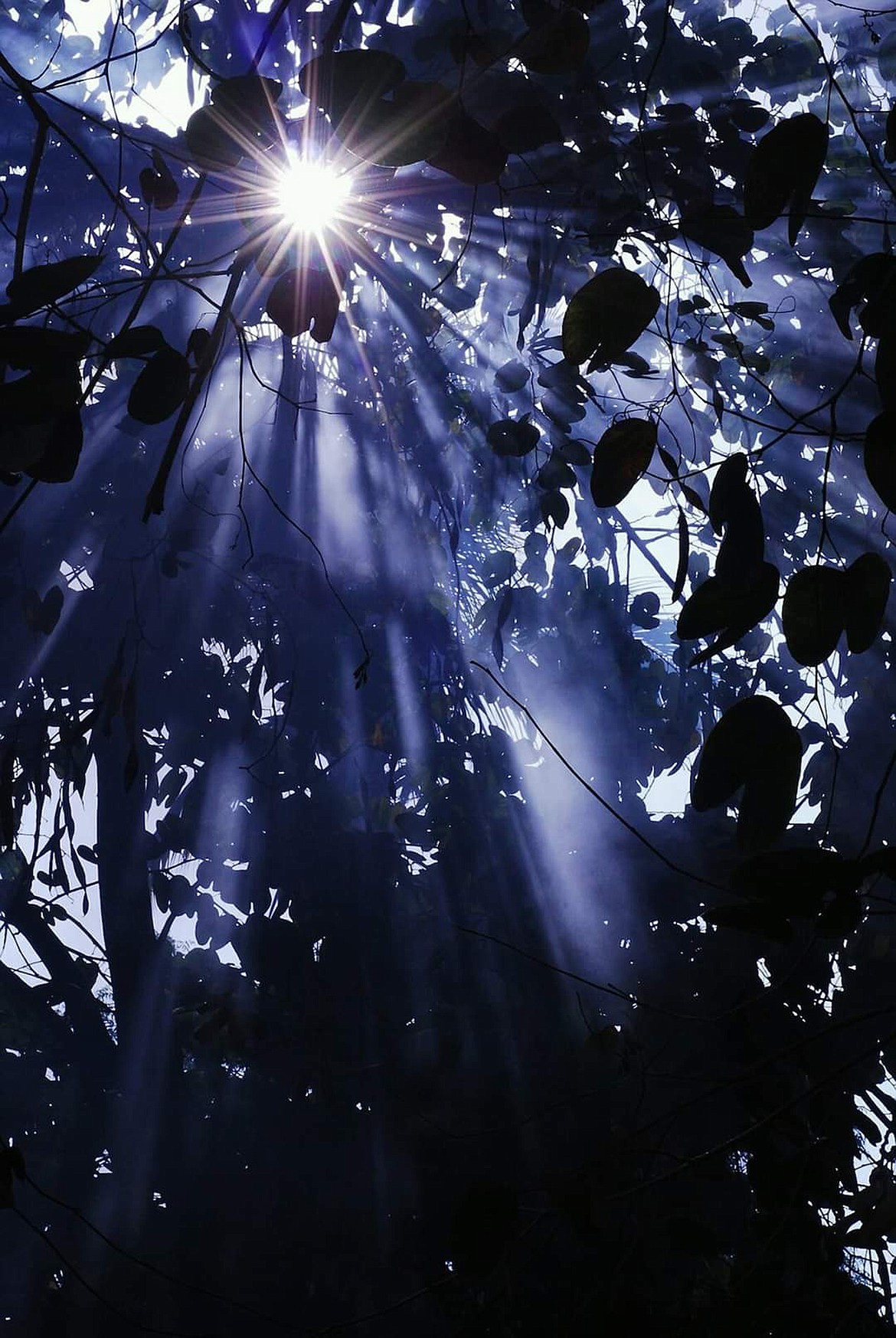 Nannette Heintzelman captured this beautiful Best Shot taken earlier this spring. If you have an photo that you took that you would like to see run as a Best Shot or I Took The Bee send it in to the Bonner County Daily Bee, P.O. Box 159, Sandpoint, Idaho, 83864; or drop them off at 310 Church St., Sandpoint. You may also email your pictures in to the Bonner County Daily Bee along with your name, caption information, hometown and phone number to bcdailybee@bonnercountydailybee.com.