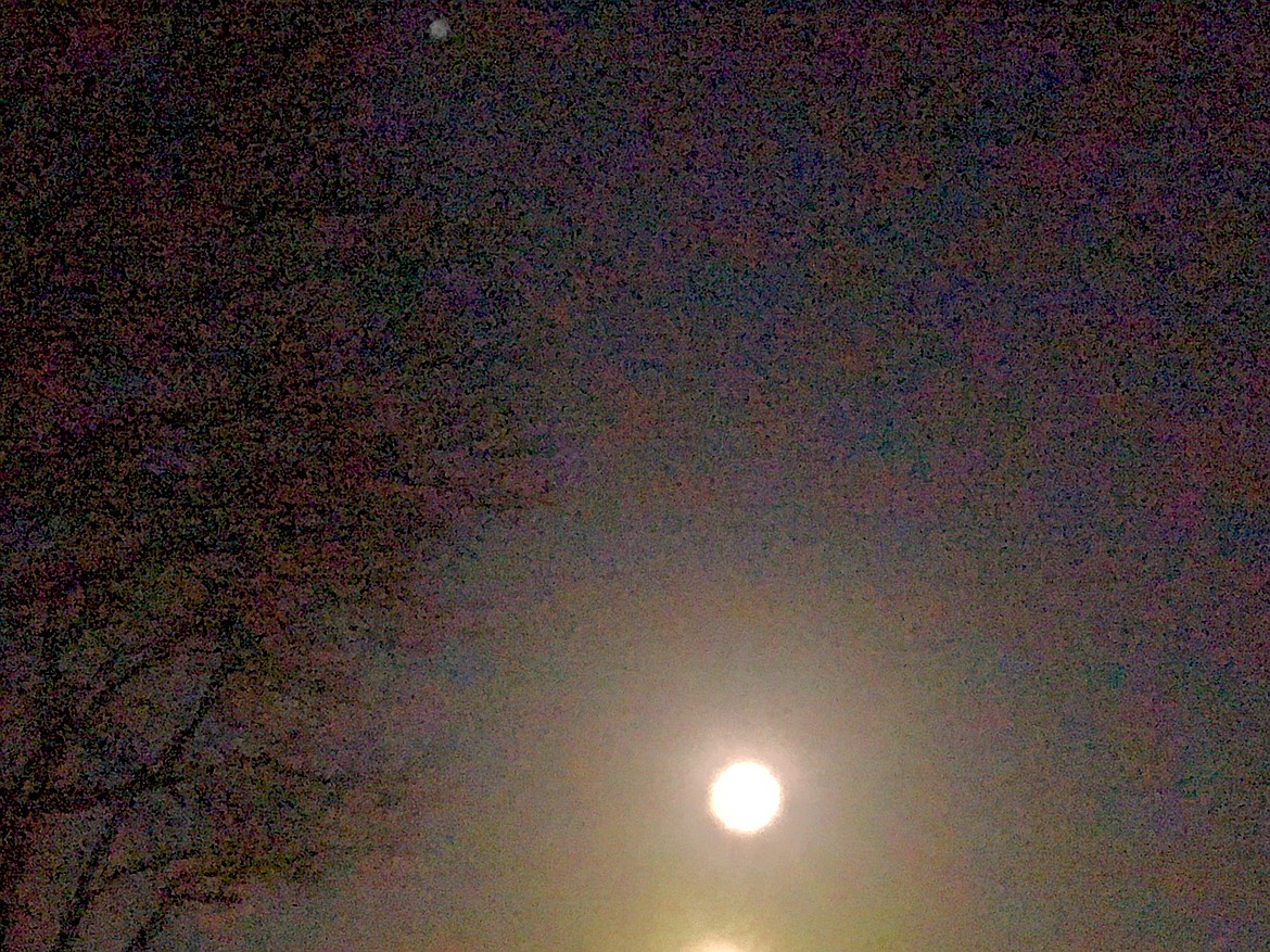 James Harris submitted this Best Shot of the pink moon and trees in the Main Street area taken in early April. If you have a photo that you took that you would like to see run as a Best Shot or I Took The Bee send it in to the Bonner County Daily Bee, P.O. Box 159, Sandpoint, Idaho, 83864; or drop them off at 310 Church St., Sandpoint. You may also email your pictures in to the Bonner County Daily Bee along with your name, caption information, hometown and phone number to bcdailybee@bonnercountydailybee.com.