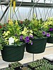FFA Plant Sale is Friday at high school