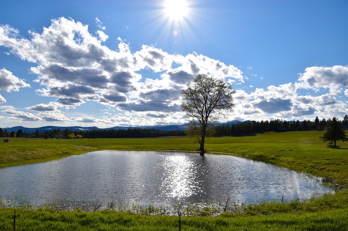 Local photographer Robert Kalberg captured this beautiful scene along Paradise Valley Road during an adventure drive with his wife on Monday, May 4. “Despite the crisis we find our country in, the beauty in North Idaho never ends,” he said.