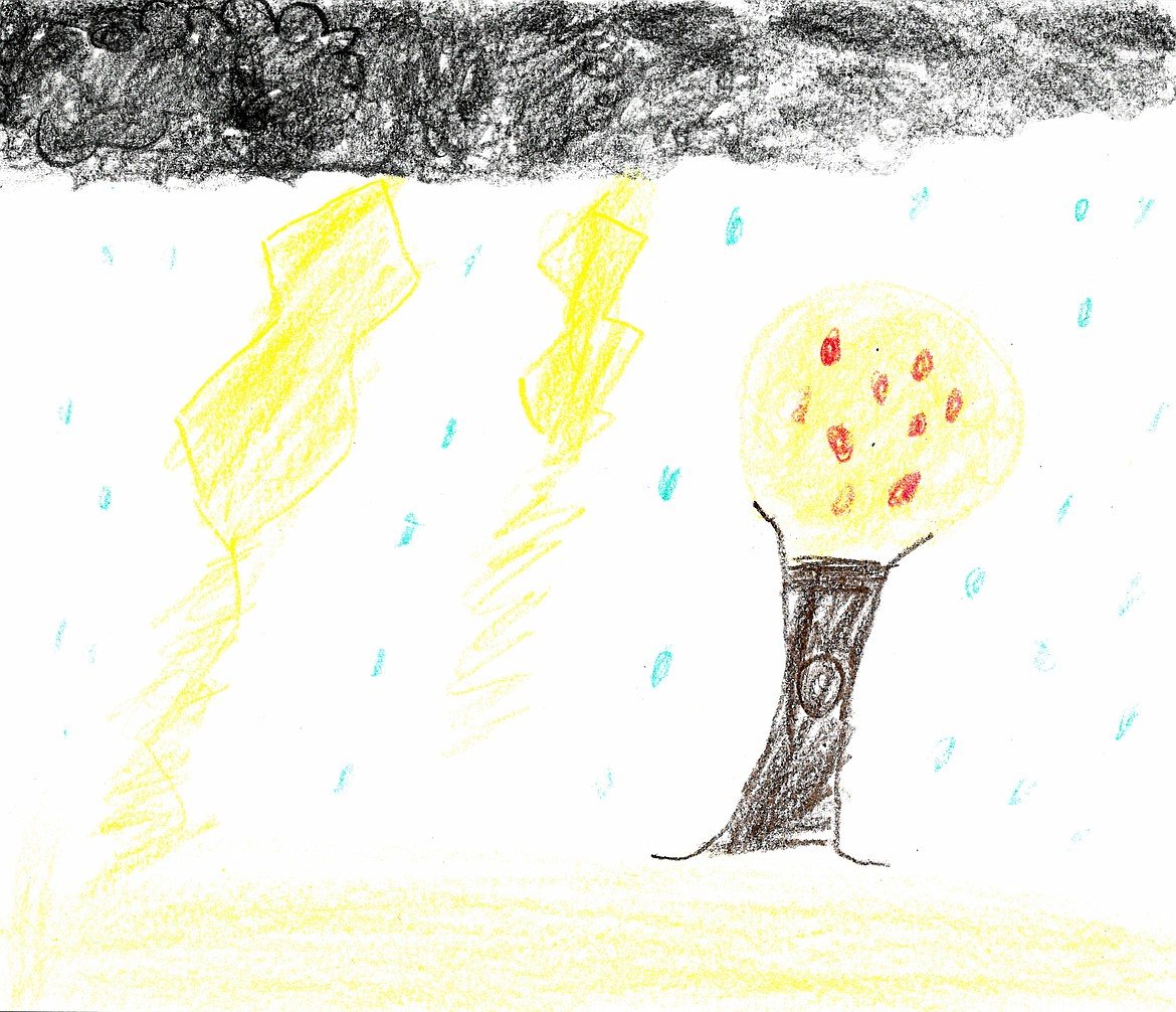 (Sophie Streets, Idaho Hill Elementary, fourth grade)