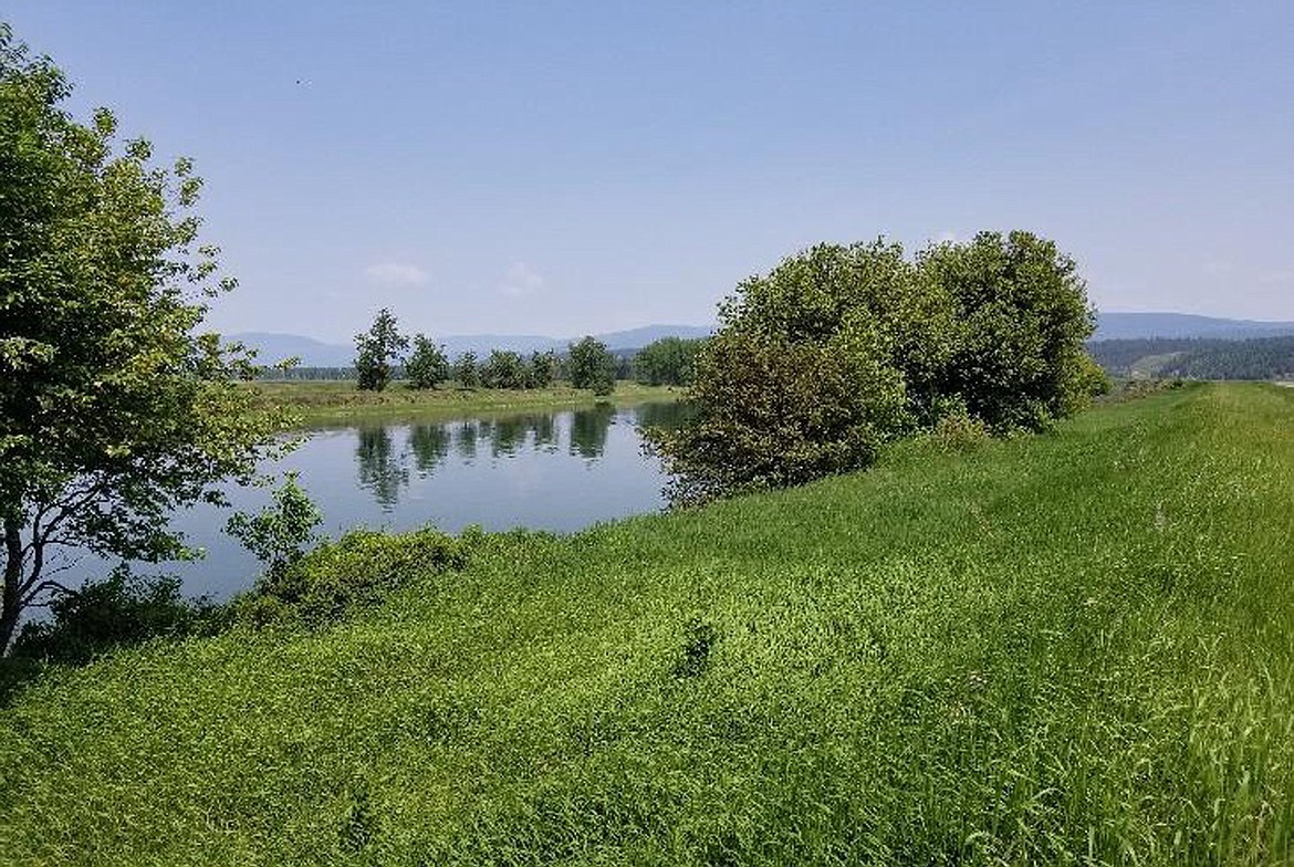 The project offers permanent protection of over 8,000 feet of Kootenai River frontage, critical to the recovery of the endangered white sturgeon.