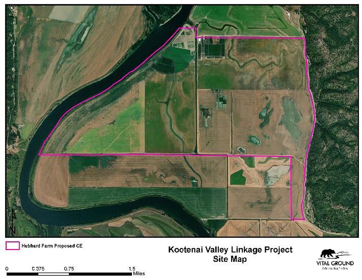 The Kootenai Valley Linkage Project borders the Kootenai River and contains riparian areas and agricultural fields.