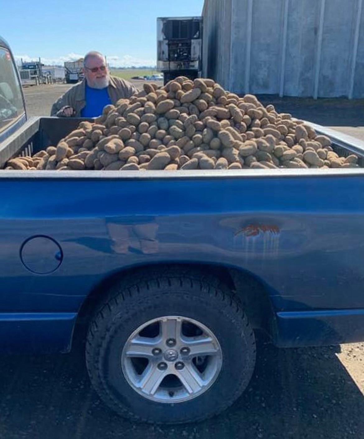 Northside School Bed and Breakfast owners Eric and Carina Johnson found free potatoes in Spokane and delivered them to Bonners Ferry residents. Potatoes that were not sold were given away free to anyone who could get to the Hutterian Brethren Farms in Spokane. In turn, the Johnsons offered the potatoes to anyone who came by to retrieve them this past Saturday, May 9.