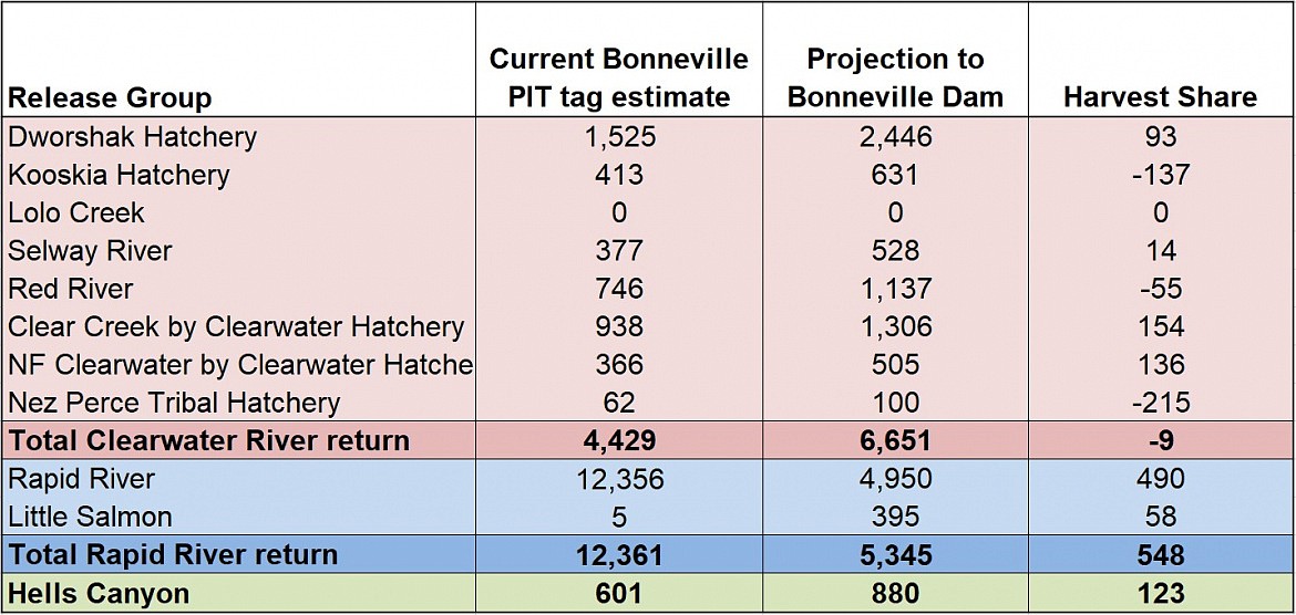 Returns of spring Chinook show that fewer fish are expected in the Clearwater than needed to support brood stock numbers, but anglers can pursue Chinook in the Little Salmon and Rapid rivers.