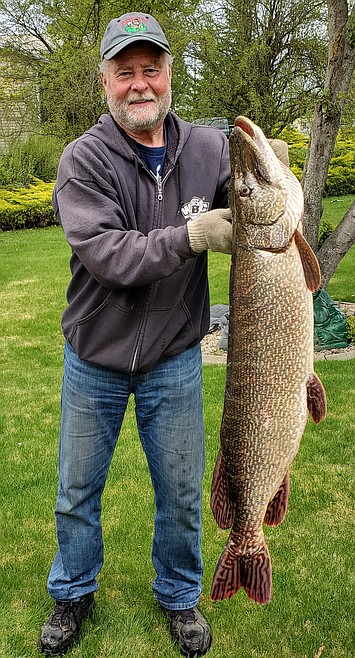 Dead bait still best for lunker pike in big bays