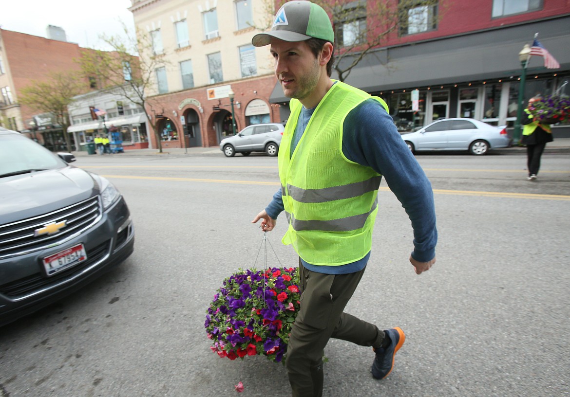Volunteer Matt Widmyer carries a flower basket from the delivery truck to a sidewalk on Sherman Avenue before it’s installed in a hanging bracket Thursday morning.