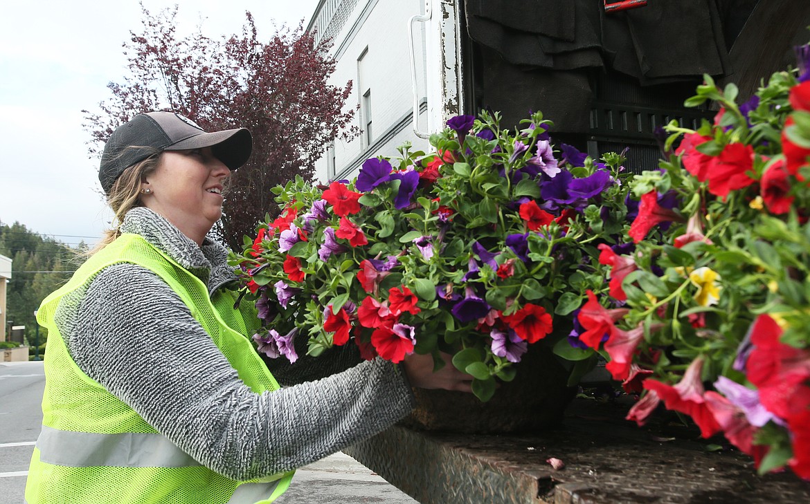 Colleen Grant of Coeur d’Alene grabs a basket of fragrant petunias Thursday morning. Volunteers helped hang 170 flower baskets throughout downtown Coeur d’Alene, a pre-Memorial Day tradition for the Coeur d’Alene Downtown Association.