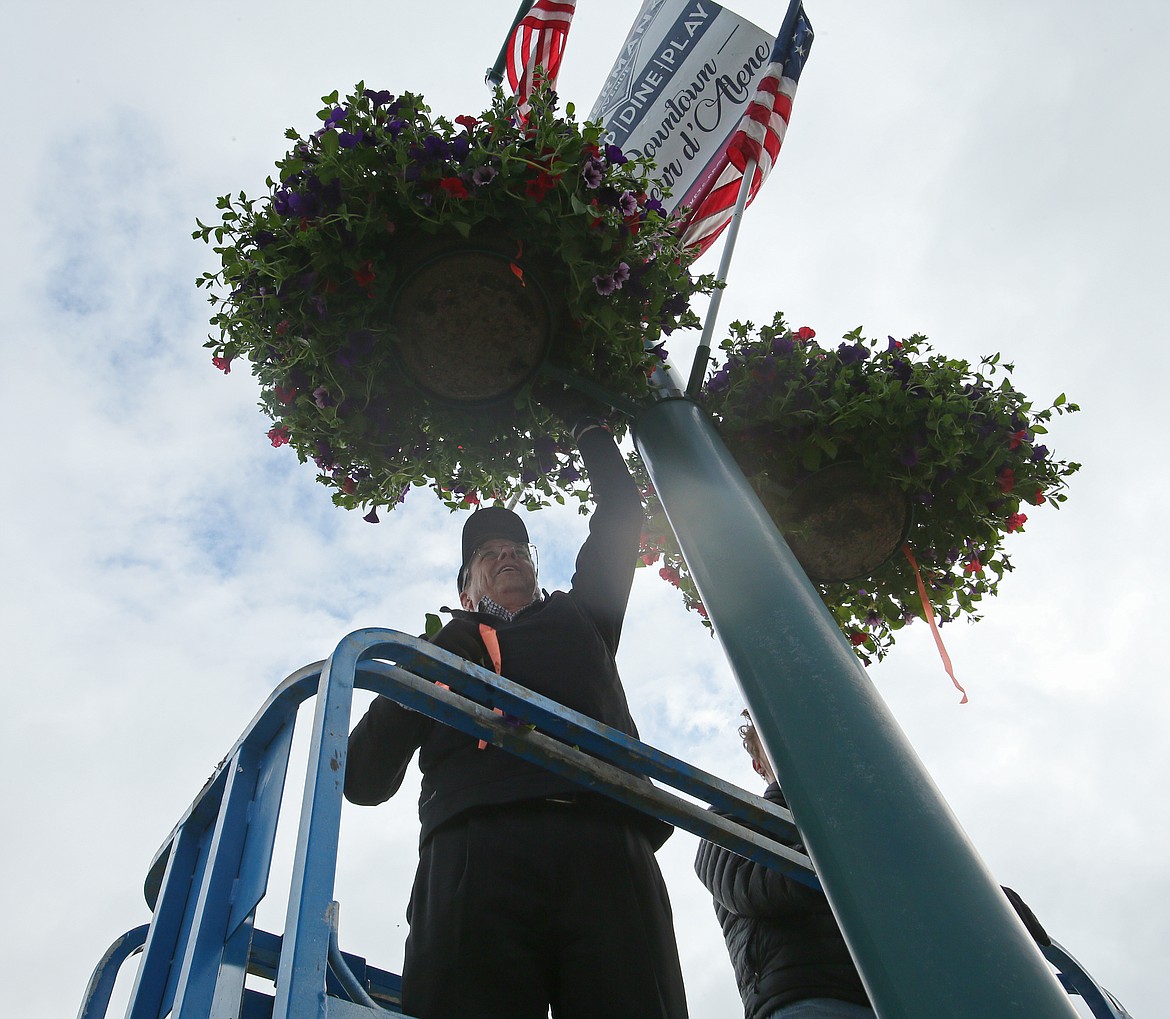 Coeur d'Alene Resort President Bill Reagan on Thursday morning continues the tradition of hanging the flower baskets that sweeten the air in downtown Coeur d'Alene from May to October each year. "It adds so much life to downtown," he said. "It means summer is here." (DEVIN WEEKS/Press)