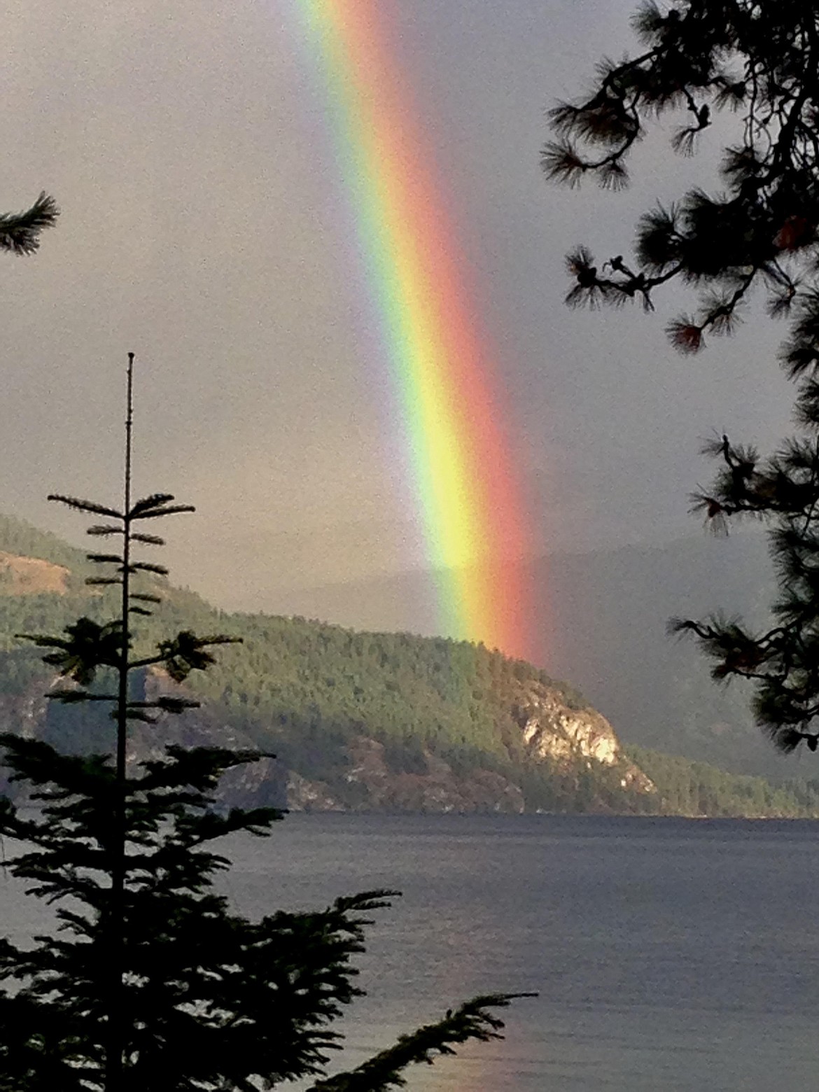 “I know there’s gold in those hills,” writes Dick Vail in submitting this Best Shot. “I know you get a lot of rainbow shots, but the vibrance here was exceptional. And me without my shovel and bucket.  If I could have got there, I might have been rich.” If you have a photo that you took that you would like to see run as a Best Shot or I Took The Bee send it in to the Bonner County Daily Bee, P.O. Box 159, Sandpoint, Idaho, 83864; or drop them off at 310 Church St., Sandpoint. You may also email your pictures in to the Bonner County Daily Bee along with your name, caption information, hometown and phone number to bcdailybee@bonnercountydailybee.com.