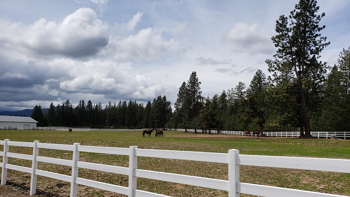 Properties in Brickert Country Estates allow for horses.