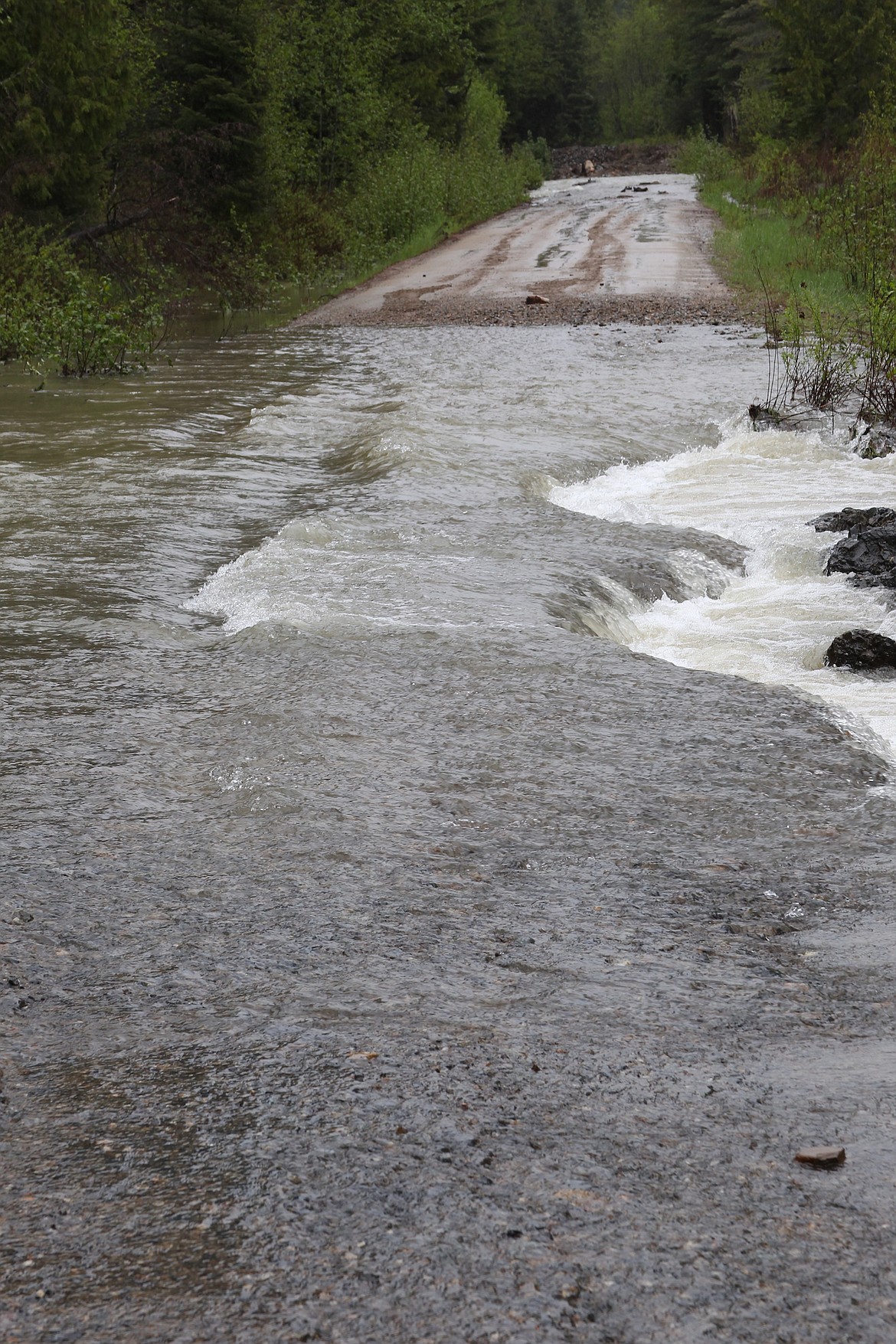 (Photo by KEITH KINNAIRD) 
 Grouse Creek spills over its namesake road on Friday.