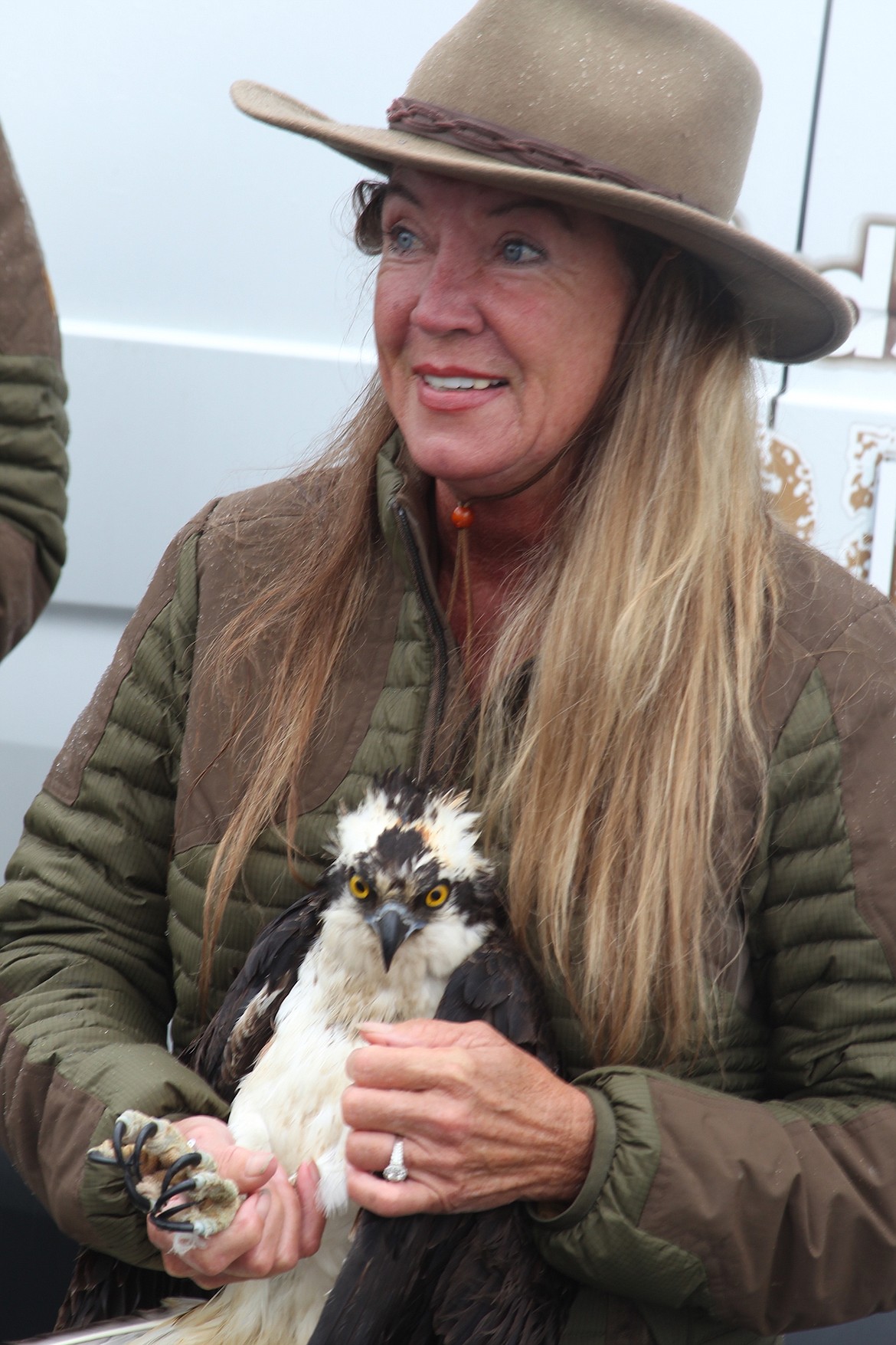 Janie Veltkamp of Birds of Prey Northwest prepares to release a rehabilitated osprey in Ponderay on Sunday.