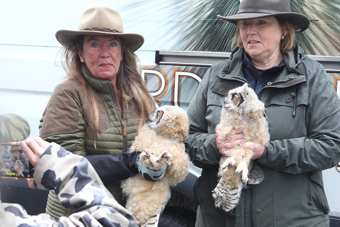 (Photo by KEITH KINNAIRD) 
 Janie Veltkamp and Birds of Prey Northwest volunteer Teri Poutre display great horned owls that are returning to the wild.
