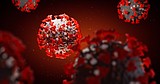 Four new COVID-19 cases, PHD reports