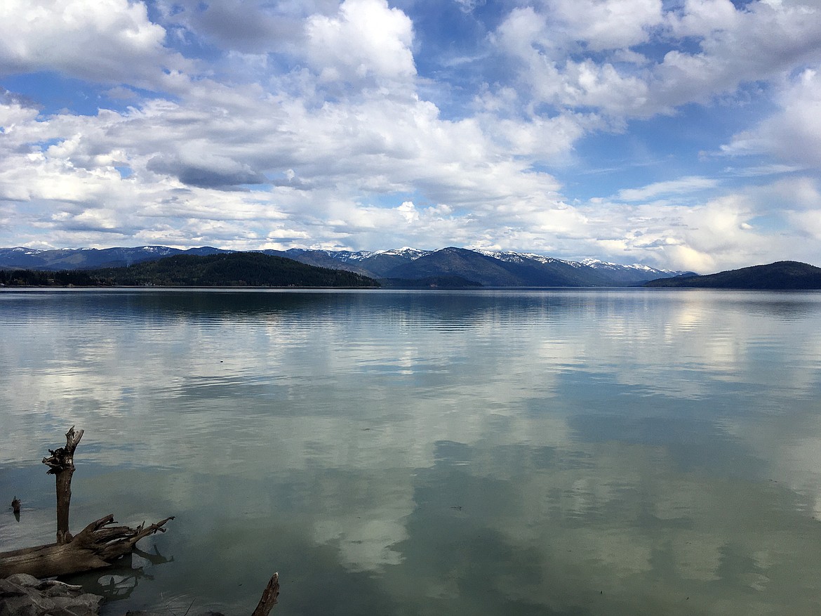 “View from the Bay Trail. Lake was smooth and reflection of the clouds above the Cabinet Mountains beautiful,” writes Jan Griffits in sharing this Best Shot taken in early May. “How lucky we are to live in North Idaho.” If you have a photo that you took that you would like to see run as a Best Shot or I Took The Bee send it in to the Bonner County Daily Bee, P.O. Box 159, Sandpoint, Idaho, 83864; or drop them off at 310 Church St., Sandpoint. You may also email your pictures in to the Bonner County Daily Bee along with your name, caption information, hometown and phone number to bcdailybee@bonnercountydailybee.com.