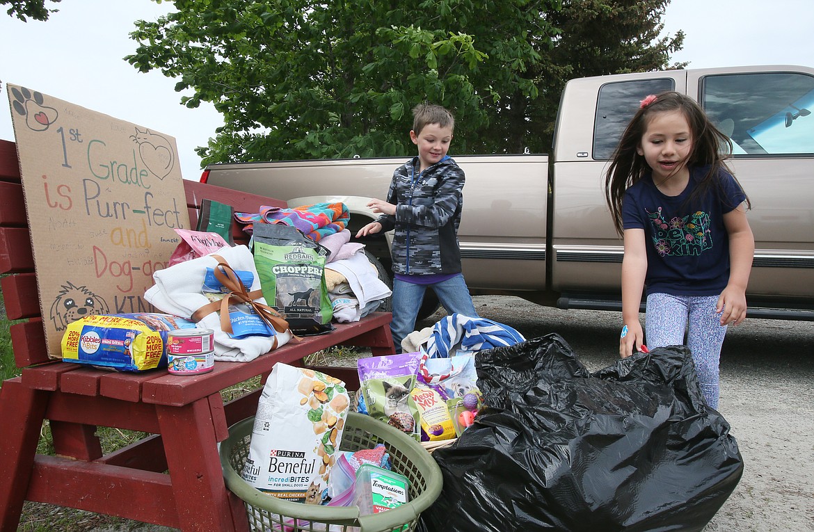 Genesis Preparatory Academy first-graders Miles Arrotta and Violet Thomason arrange items for the Kootenai Humane Society during a delivery Friday. Their class collected about $300 in food and supplies to support the furry tenants of the nonprofit shelter.