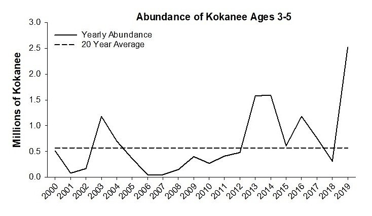 Although a large kokanee population normally has biologists predicting smaller-than-average adult sizes, this year’s “bonus class” four-year-old fish are expected to boost kokanee size.