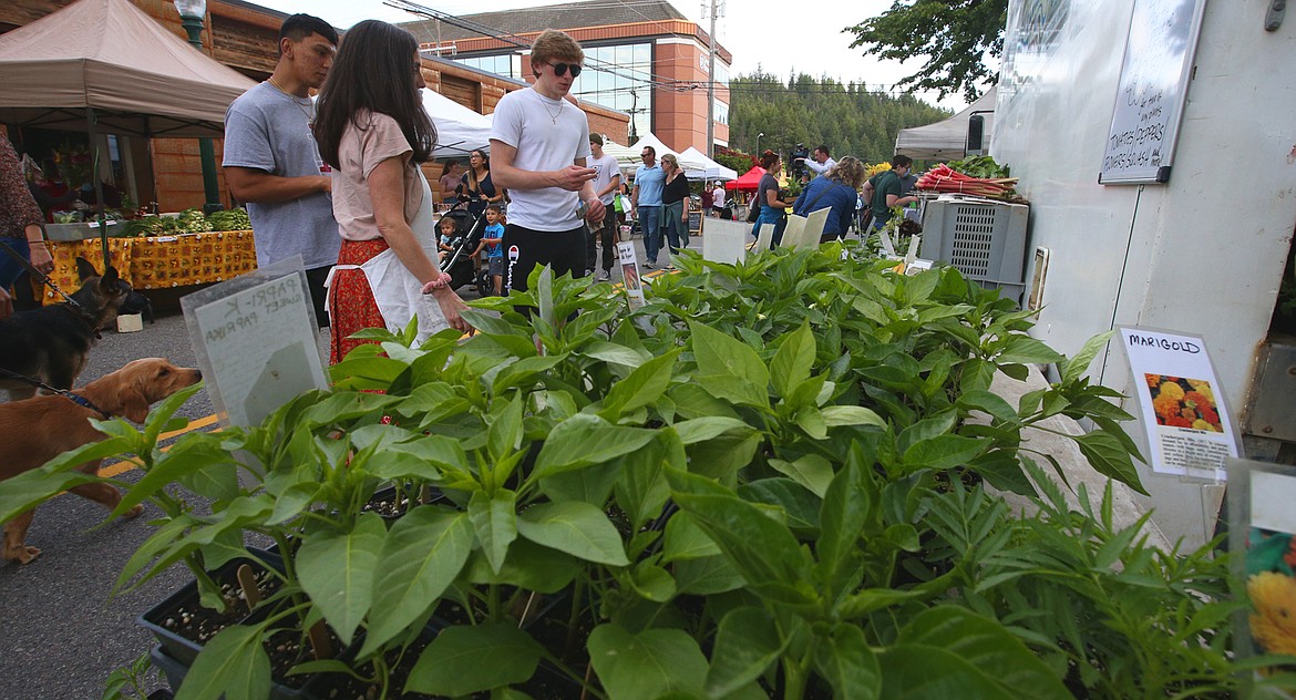 BILL BULEY/Press 
 Customers check out the offerings at the Killarney Farms stand at the Kootenai County Farmer's Market Wednesday in downtown Coeur d'Alene.