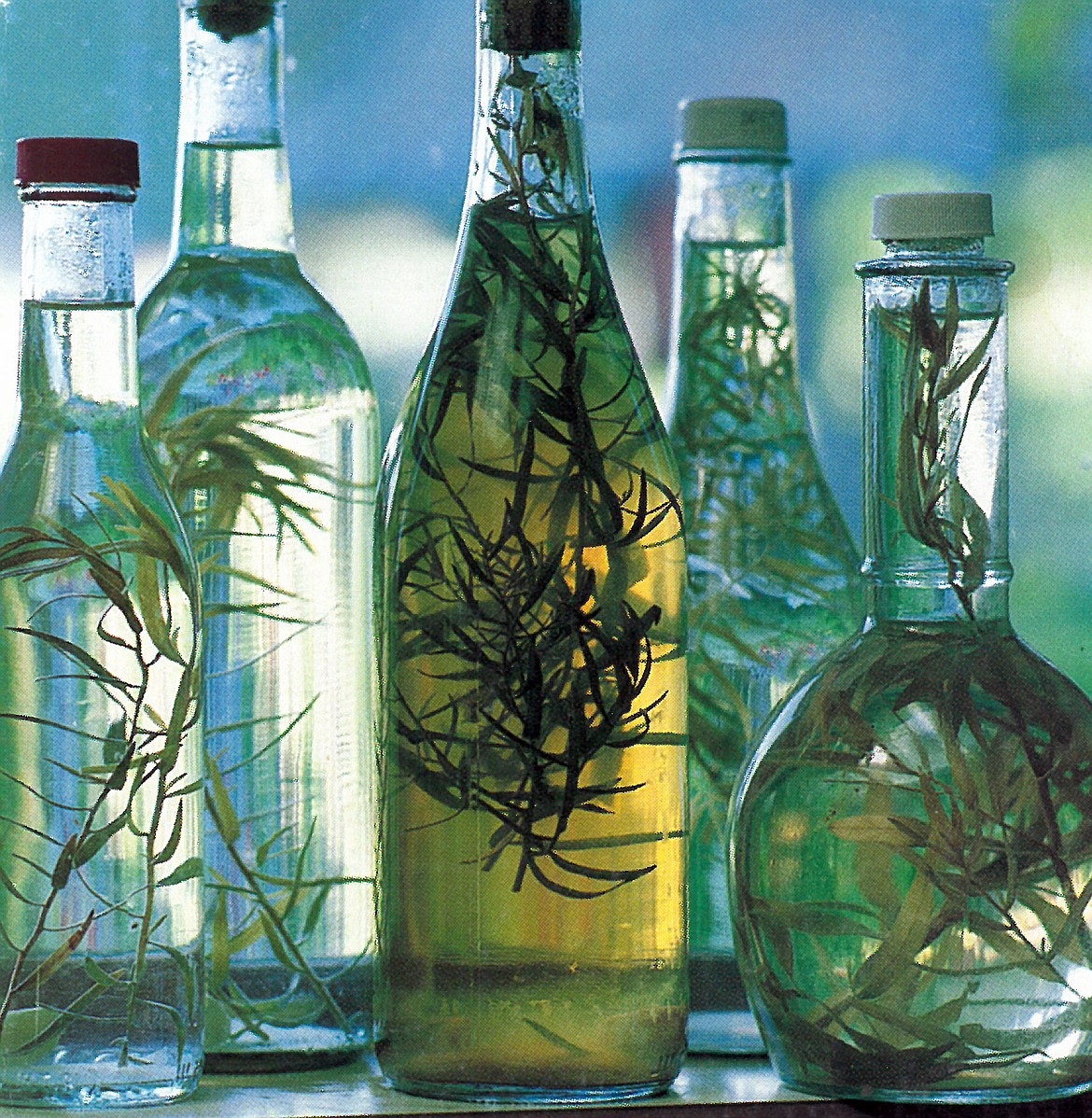 Making your own herbal vinegar can be as simple as tucking a fresh sprig of your chosen herb into a bottle of vinegar. Shown here are white wine, Champagne, rice wine, and malt,  featuring tarragon, one of the most versatile of vinegar herbs.