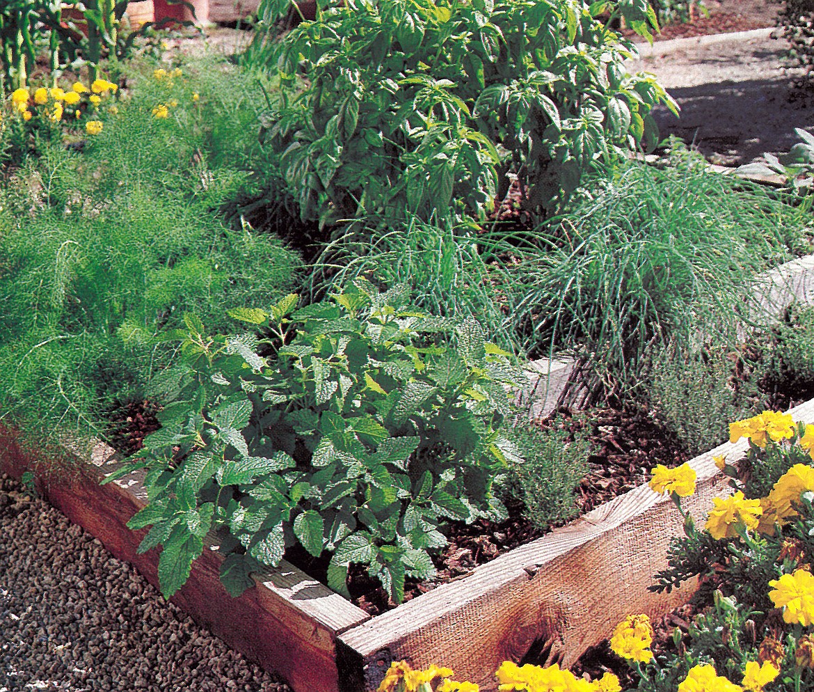 Beautiful two-tiered herb garden is perfect for vinegar-making: Top tier is basil, with fennel, thyme,  chives, mint and sage in lower section.