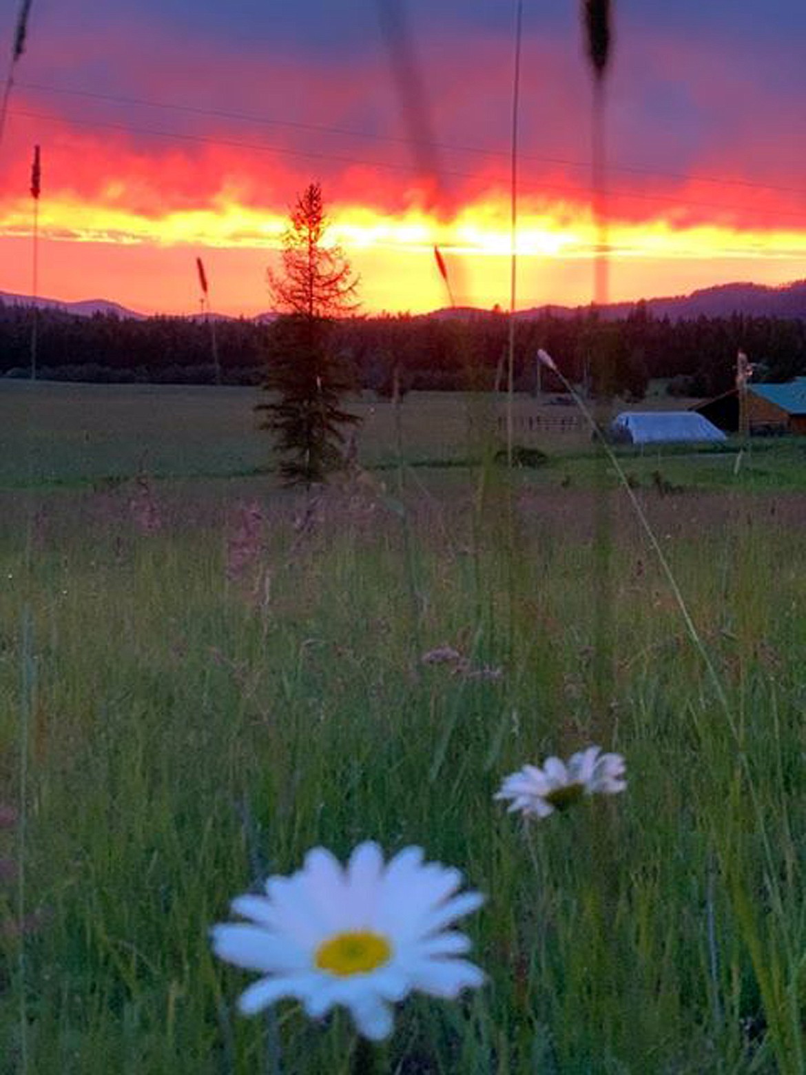 Tiffany Smith captured this beautiful shot of last week’s spectacular sunset. If you have a photo that you took that you would like to see run as a Best Shot or I Took The Bee send it in to the Bonner County Daily Bee, P.O. Box 159, Sandpoint, Idaho, 83864; or drop them off at 310 Church St., Sandpoint. You may also email your pictures in to the Bonner County Daily Bee along with your name, caption information, hometown and phone number to bcdailybee@bonnercountydailybee.com.