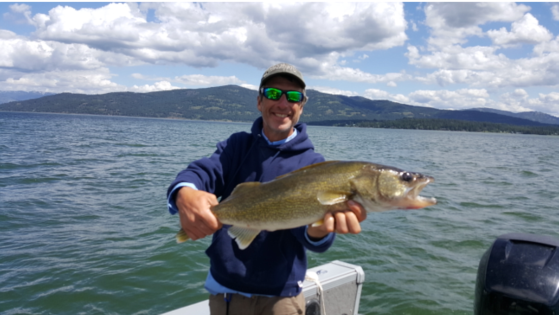 Chad Landrum of Go Fish! Charters with a Lake Pend Oreille walleye. 
  
 Courtesy/Chad Landrum