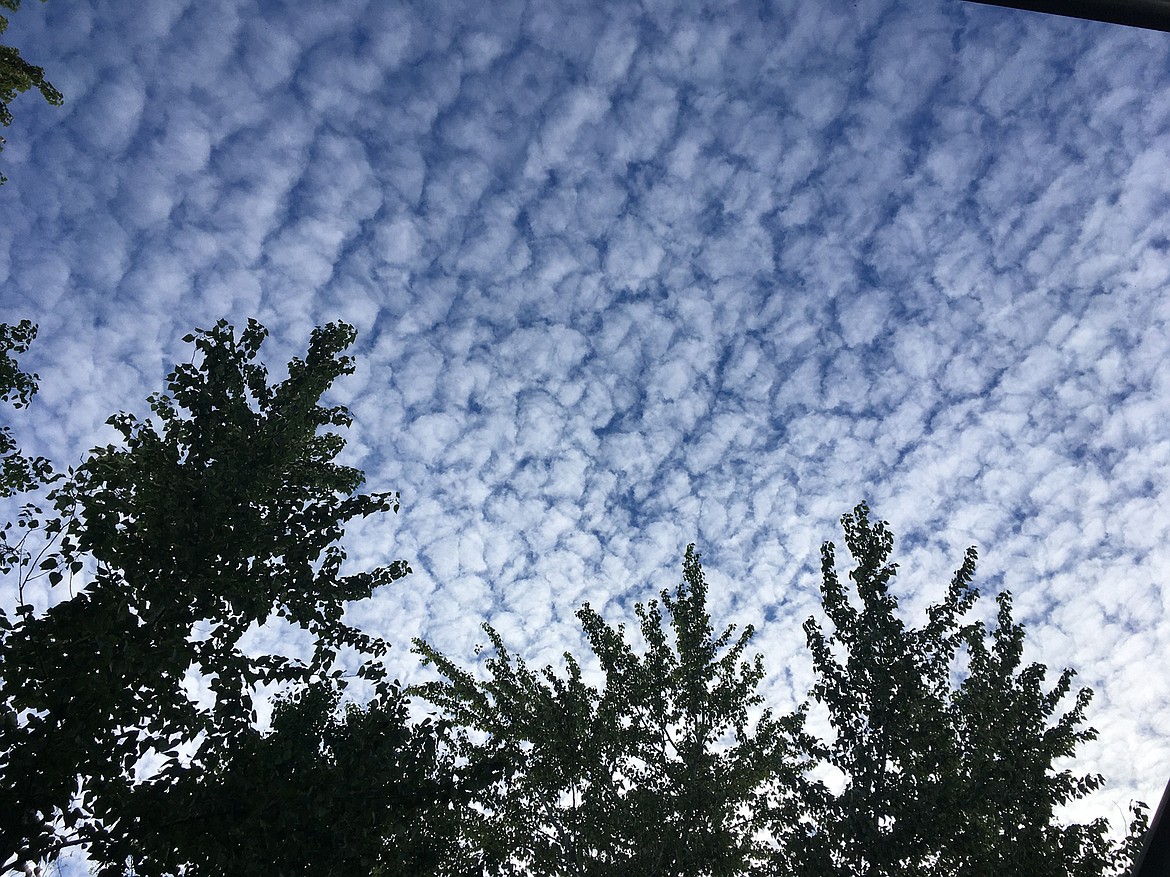 “Another interesting North Idaho sky,” writes Jan Griffitts of this May 28 photo she captured. If you have a photo that you took that you would like to see run as a Best Shot or I Took The Bee send it in to the Bonner County Daily Bee, P.O. Box 159, Sandpoint, Idaho, 83864; or drop them off at 310 Church St., Sandpoint. You may also email your pictures in to the Bonner County Daily Bee along with your name, caption information, hometown and phone number to bcdailybee@bonnercountydailybee.com.