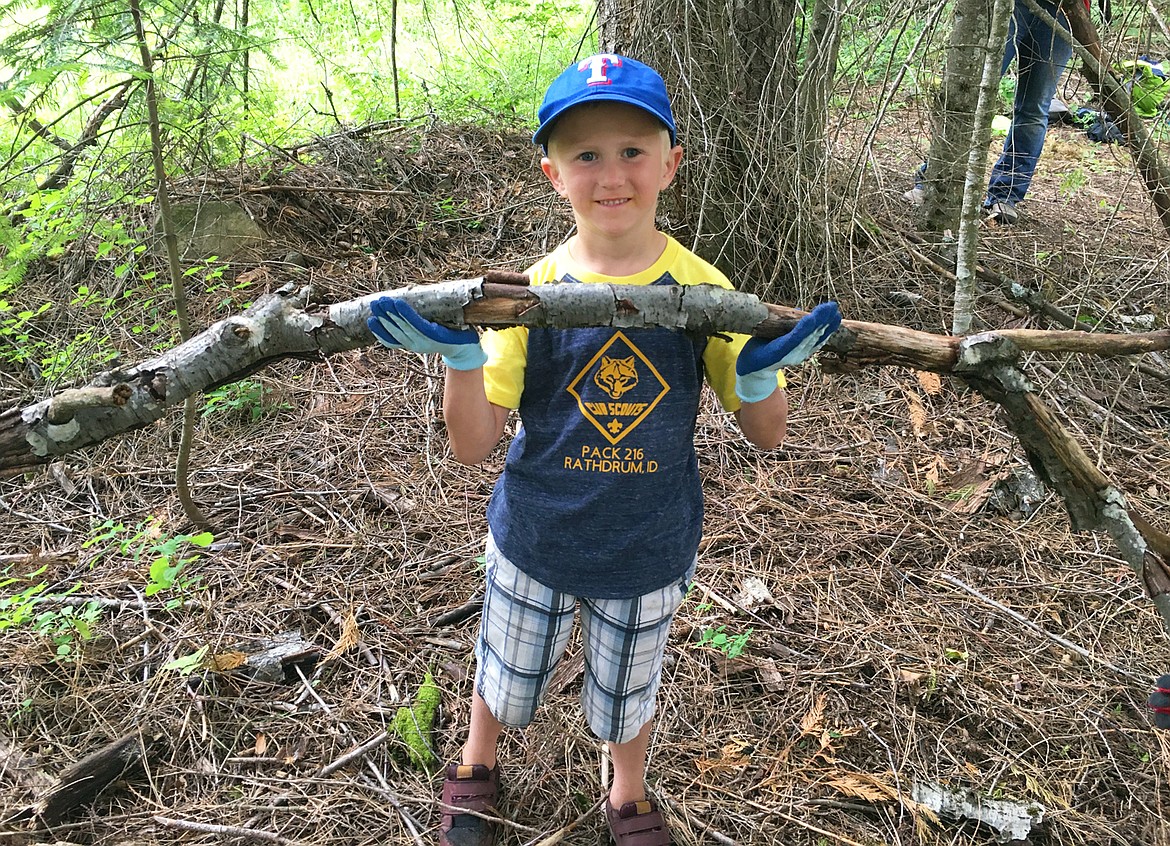 Roy Gallus moves a branch he picked up to make way for a new trail on Rathdrum Mountain on Saturday.