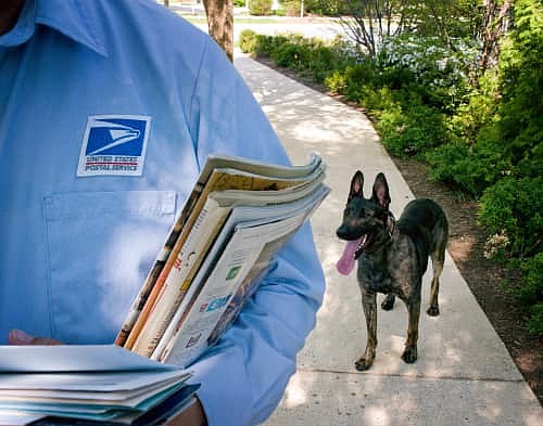 What is USPS and its Job Profiles?