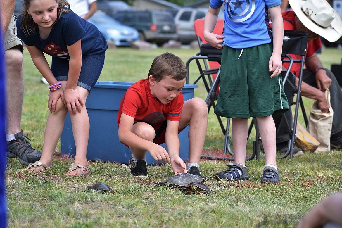 (Photo by DYLAN GREENE) 
 A young boy releases his turtle during the races Saturday.